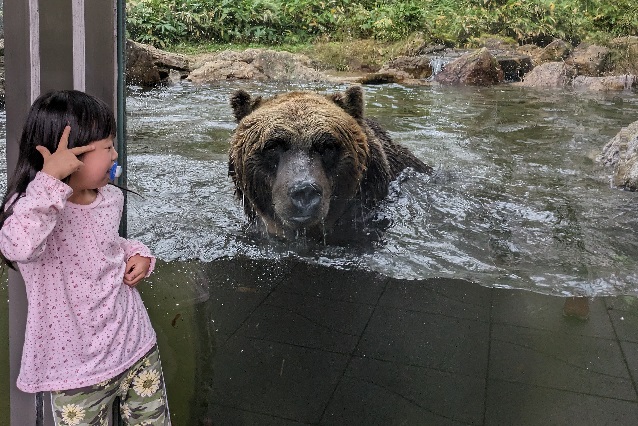 サホロベアマウンテン